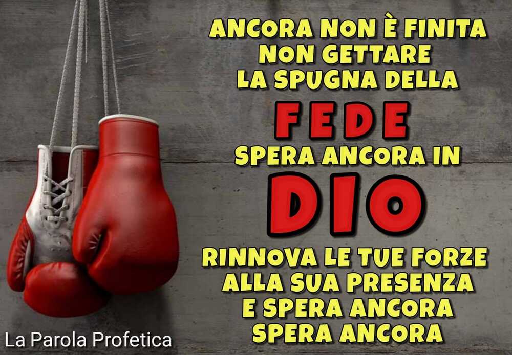 Ancora non è finita non gettare la spugna della fede spera ancora in DIo rinnova le tue forze alla sua presenza e spera ancora