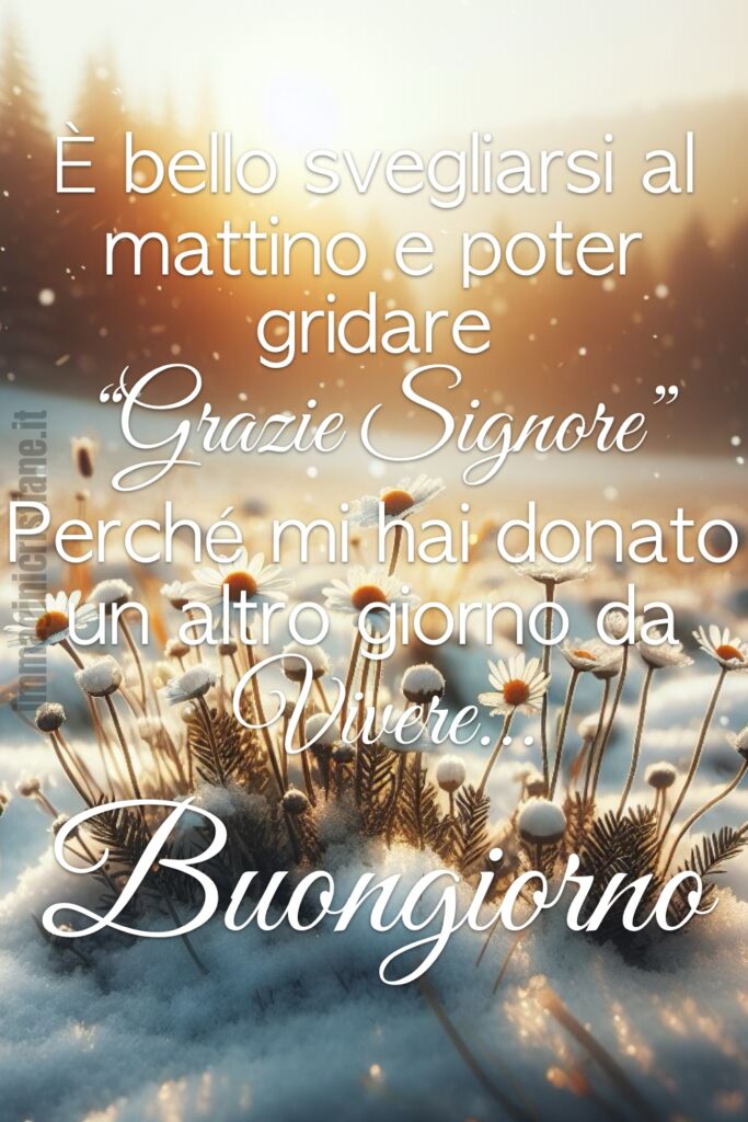 È bello svegliarsi al mattino e poter gridare “Grazie Signore” perché mi hai donato un altro giorno da vivere... Buongiorno